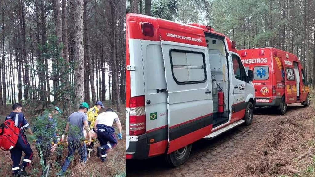 Homem fica gravemente ferido durante acidente em colheita de pinhão