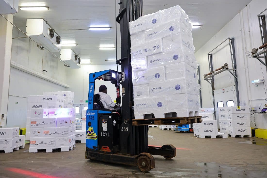Atividade econômica de Santa Catarina cresce 6,1% nos cinco primeiros meses do ano