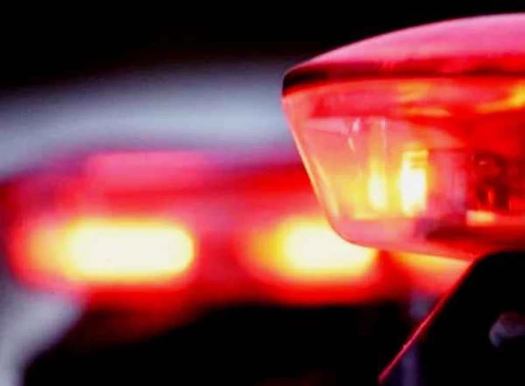 Integrantes de facção criminosa são encontrados mortos em SC