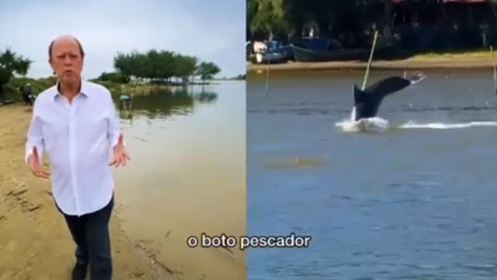 “Boto Pescador” ajuda na Pesca da Tainha em praias de Laguna, em SC