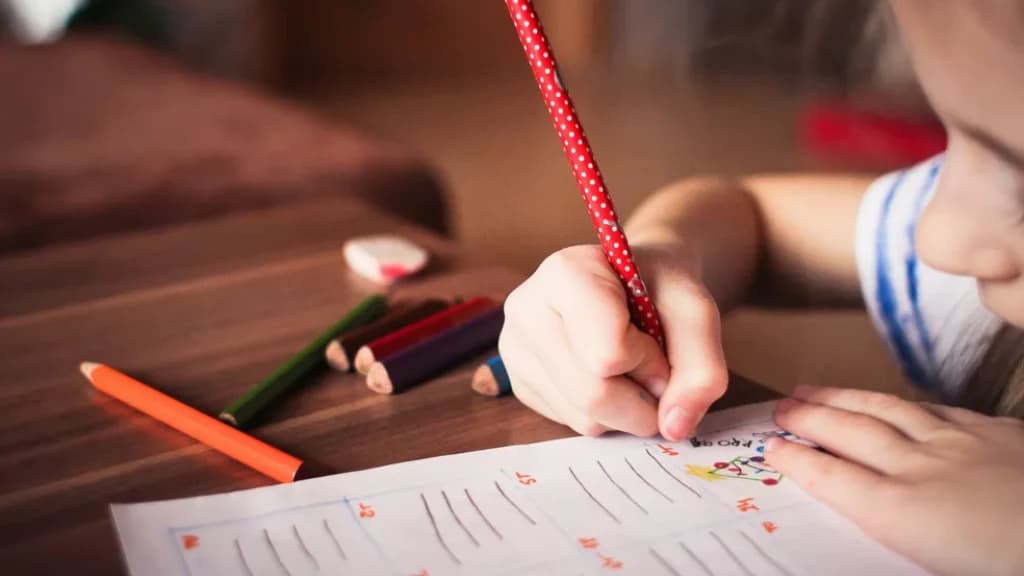 Volta às aulas em SC: mais de 520 mil alunos retomam atividades na rede estadual