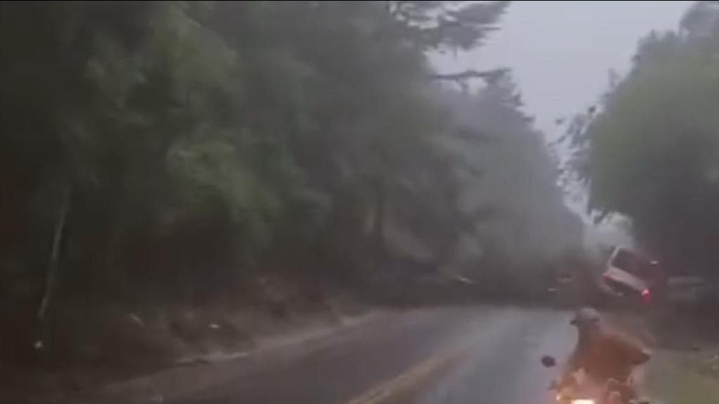 URGENTE: Deslizamento de terra atinge ônibus e caminhão  na BR-282