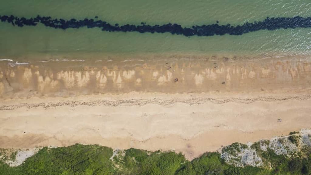 Construtora não é penalizada por supostos danos ambientais em praia catarinense, decide justiça