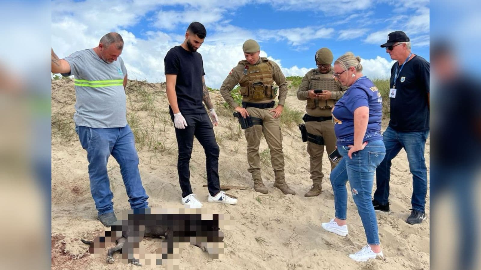 Pitbull é encontrado morto com perfurações em praia de SC