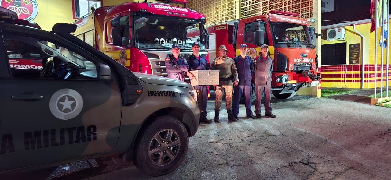 “Surpresa no cano”: Moradores encontram cobra exótica em calha de rua em Itapema