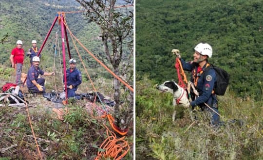 Cão preso em penhasco por 6 dias é resgatado com vida por bombeiros