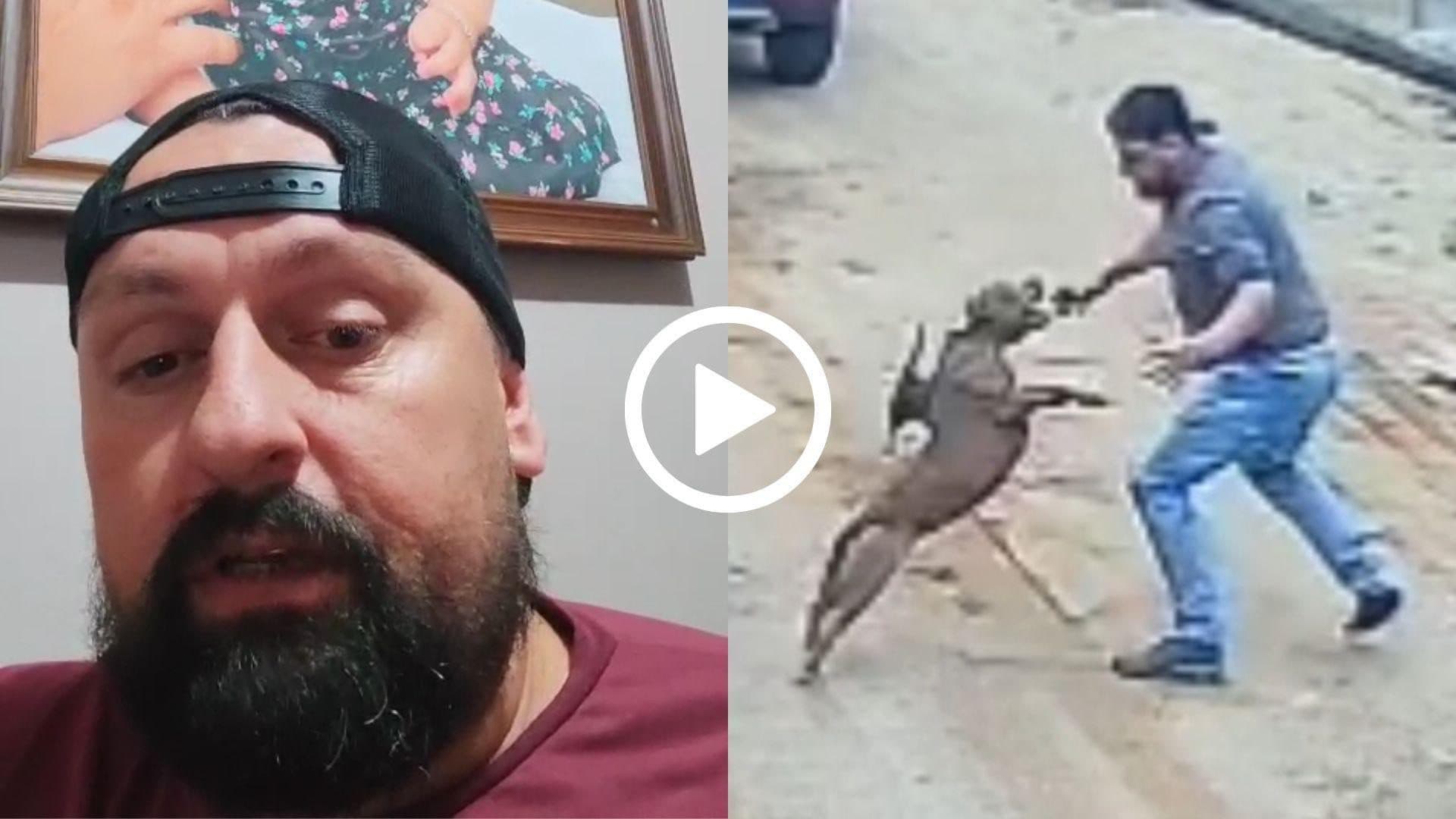 “Não quis matar ela”: morador de São João Batista conta como sobreviveu a ataque de pitbull
