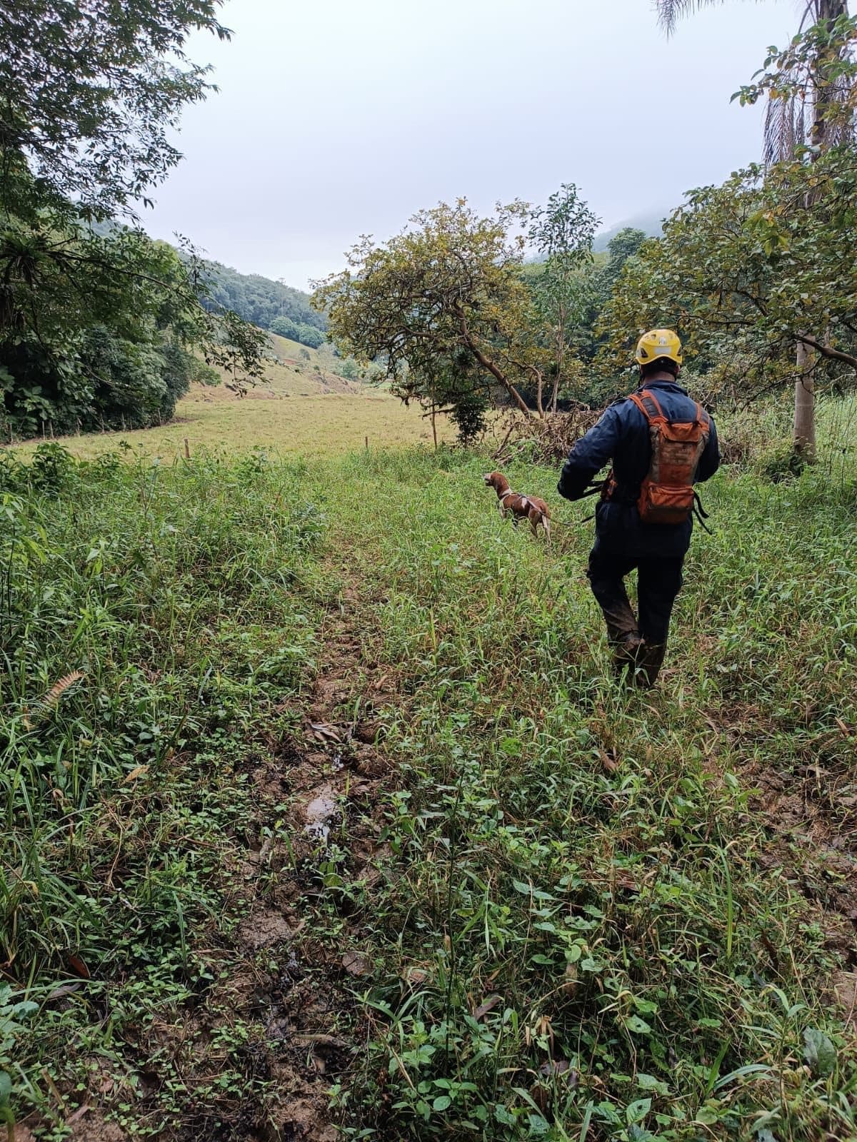 Homem desaparece em mata e buscas são encerradas após sete dias de angústia