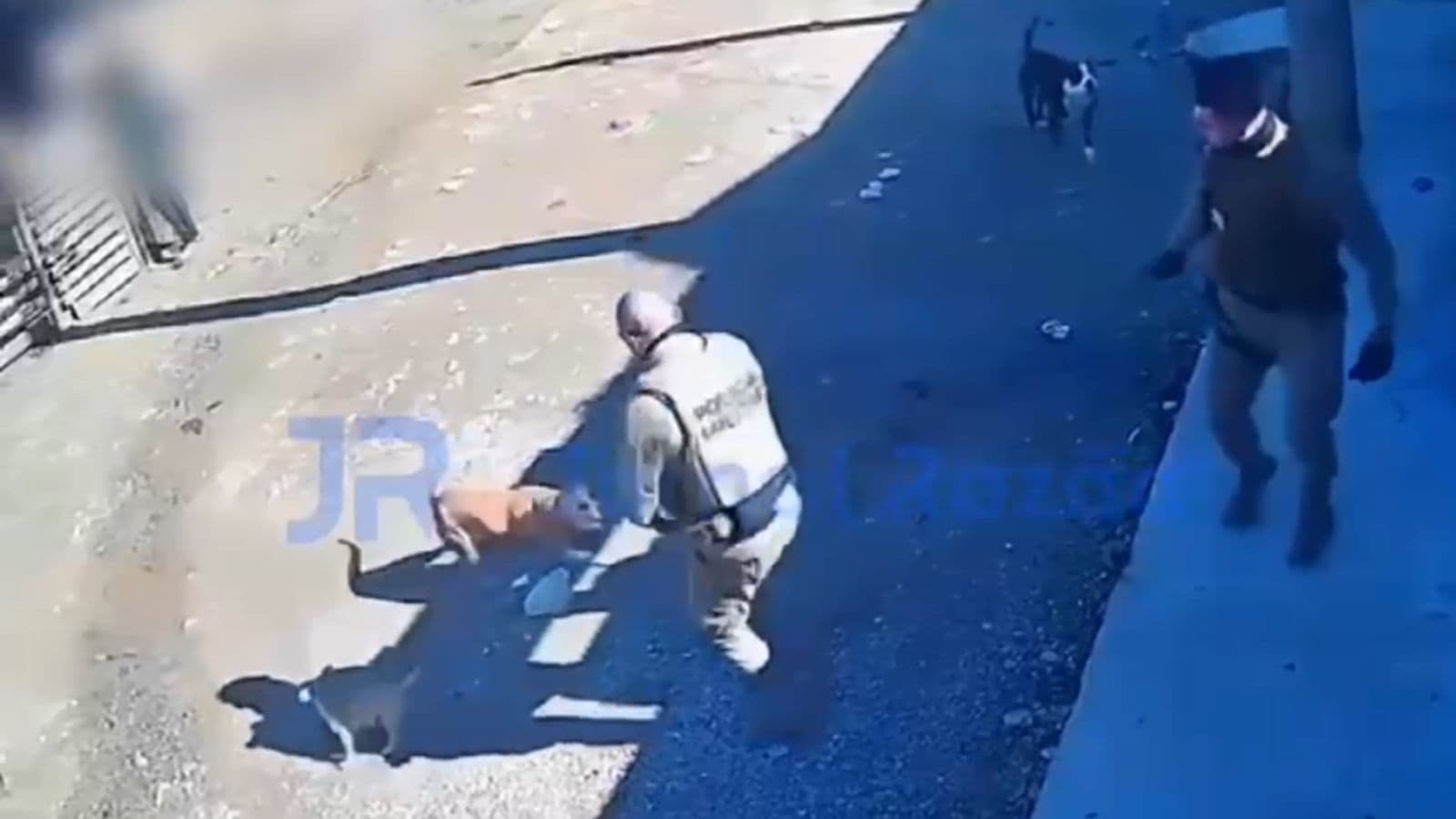 VÍDEO: Policial reage e atira após PM”s serem cercados por pitbulls em Itapema