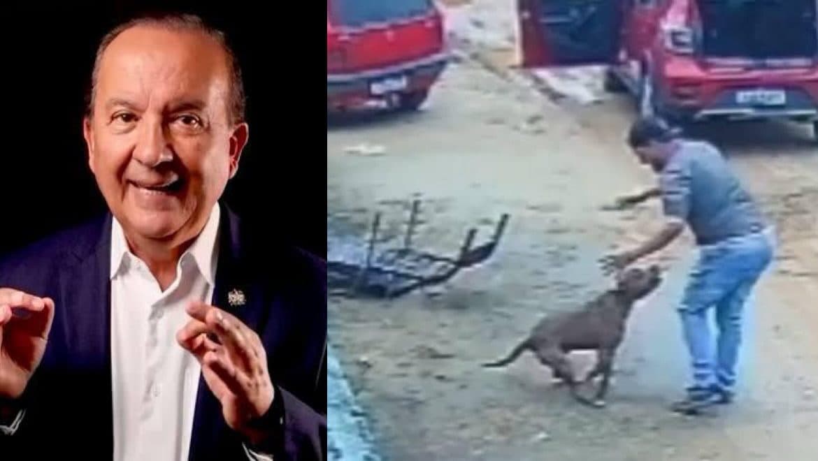 Geada e temperaturas negativas marcam manhã gelada em Santa Catarina nesta quarta (30)
