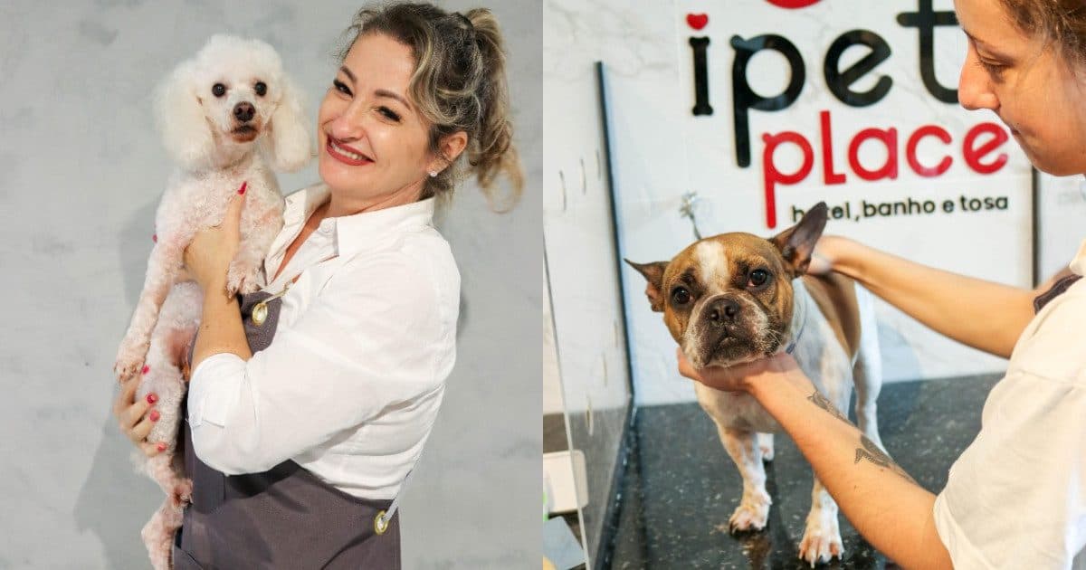 Florianópolis ganha creche para pets com recreação e transmissão ao vivo para os “pais de pet”