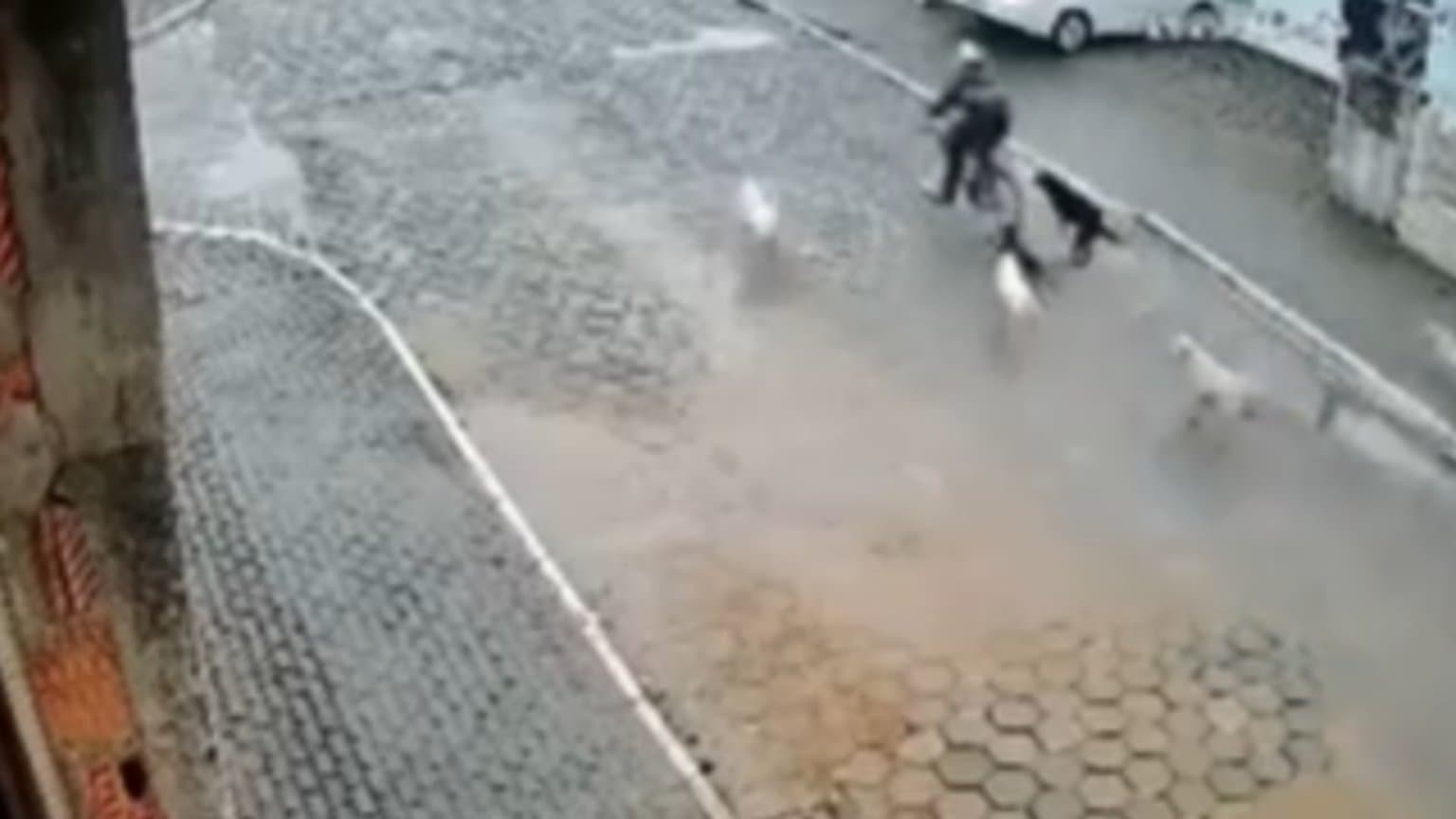 Criminoso de Alagoas desafia a justiça de SC e assalta em frente ao Fórum de Tijucas