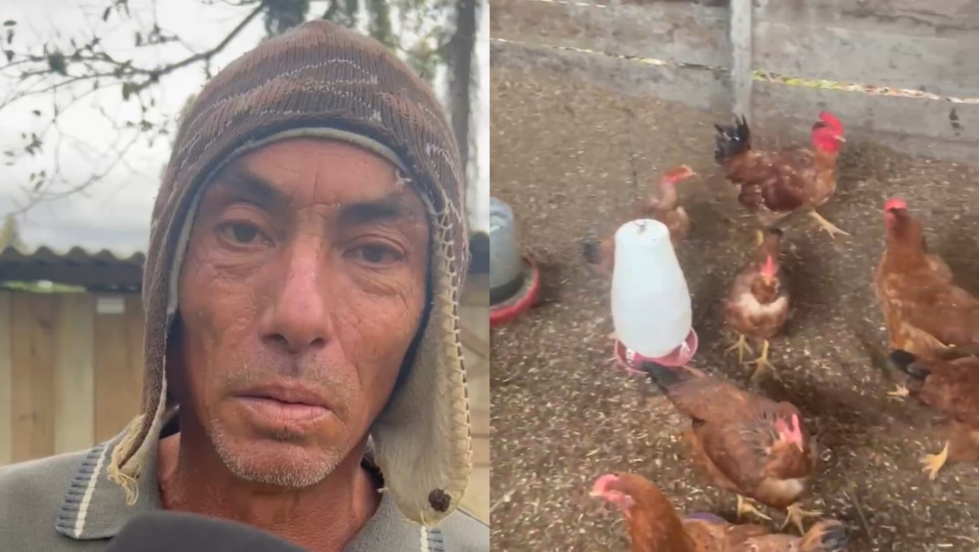 “Olhos demoníacos”: morador de SC encontra cena macabra em seu galinheiro e fica apavorado
