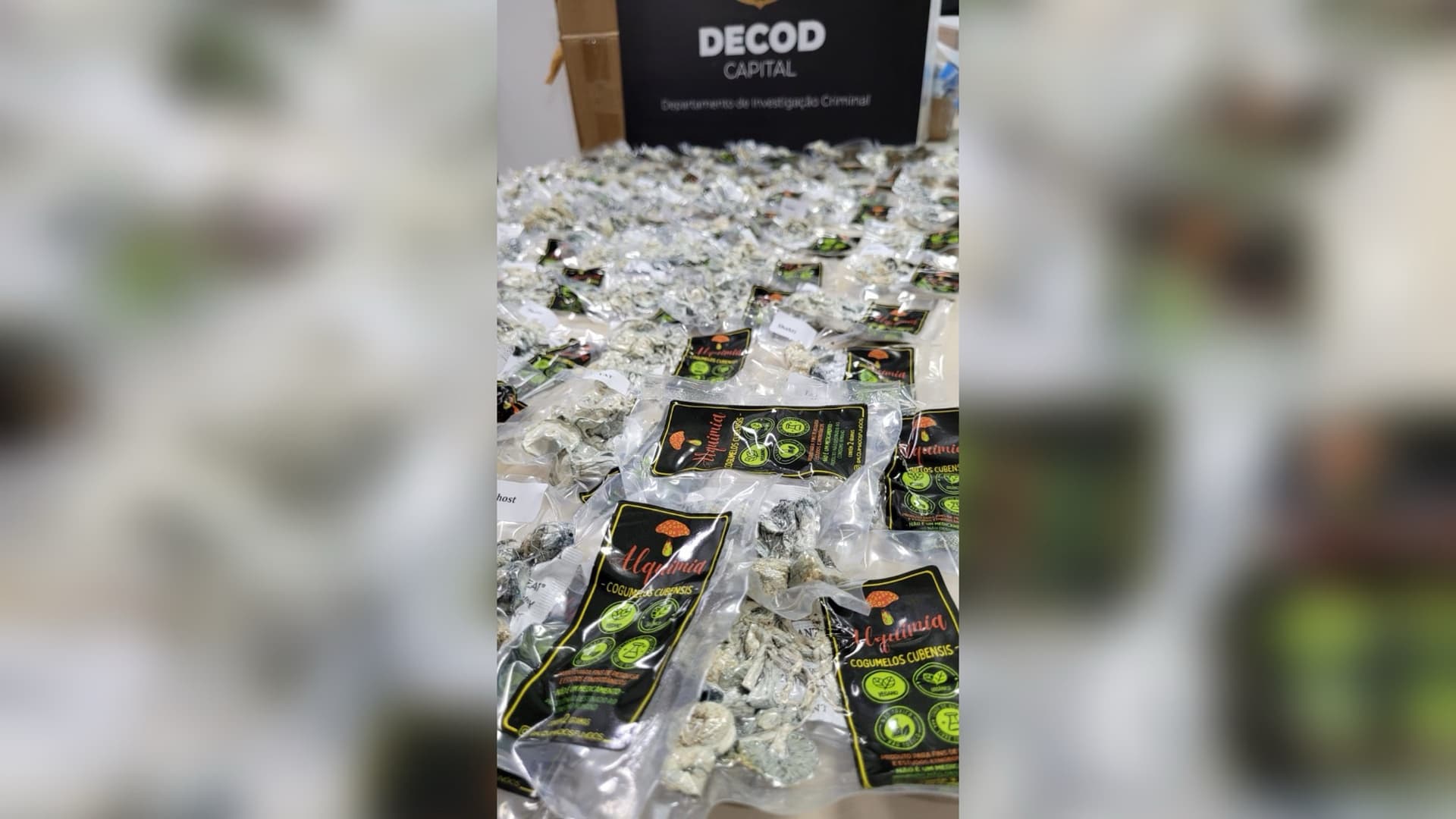 “Viagem” cancelada: polícia descobre que comércio de Floripa vendia cogumelos alucinógenos