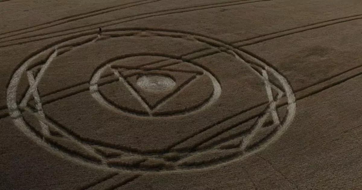 Lavoura amanhece com desenho enigmático e reacende mistério em Santa Catarina : “é bonito, mas dá medo”