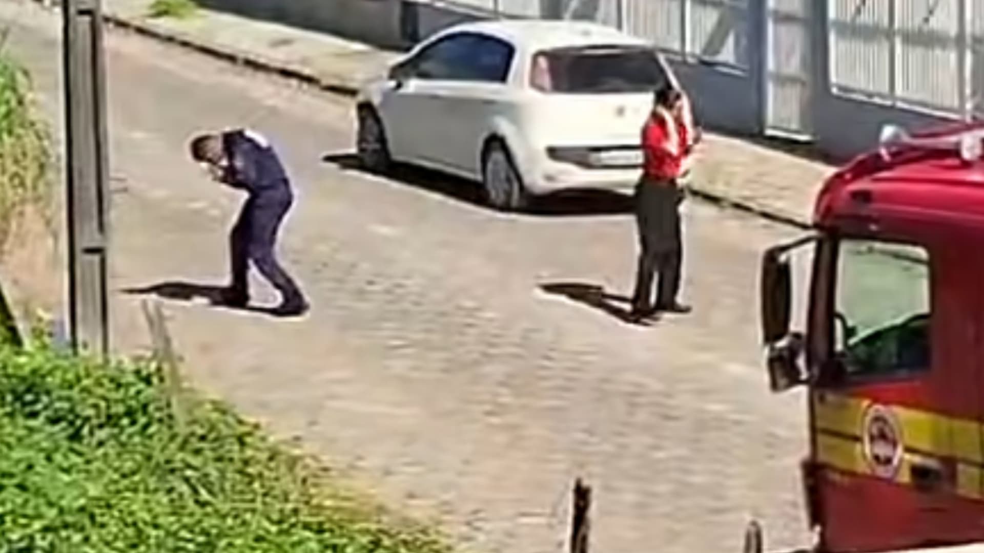 Bombeiros são atacados por abelhas durante resgate em SC