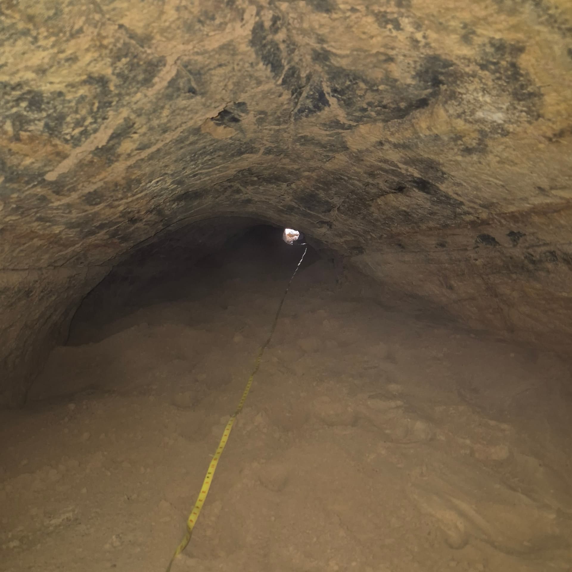 Tatu gigante pré-histórico deixou túnel de quase 26 metros enterrado no Sul de SC