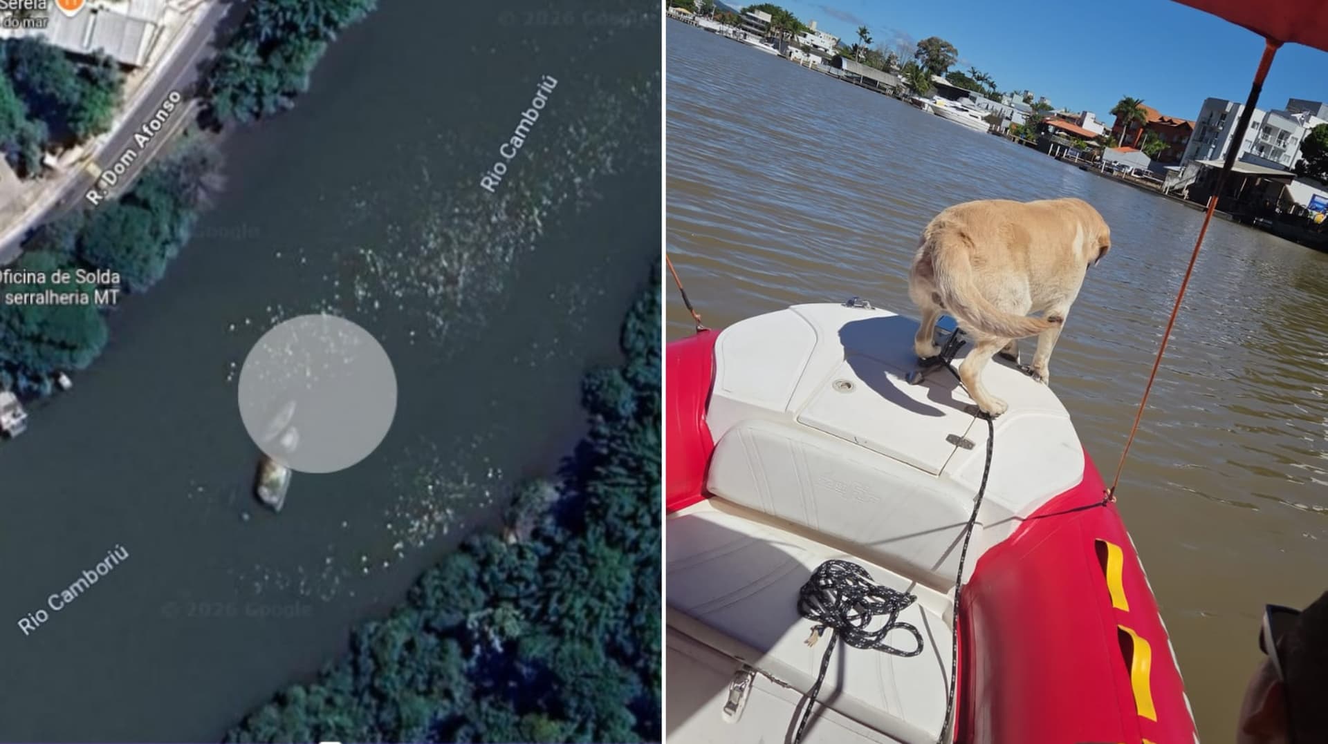Cão fareja e bombeiros encontram corpo de homem desaparecido há dois dias no Rio Camboriú