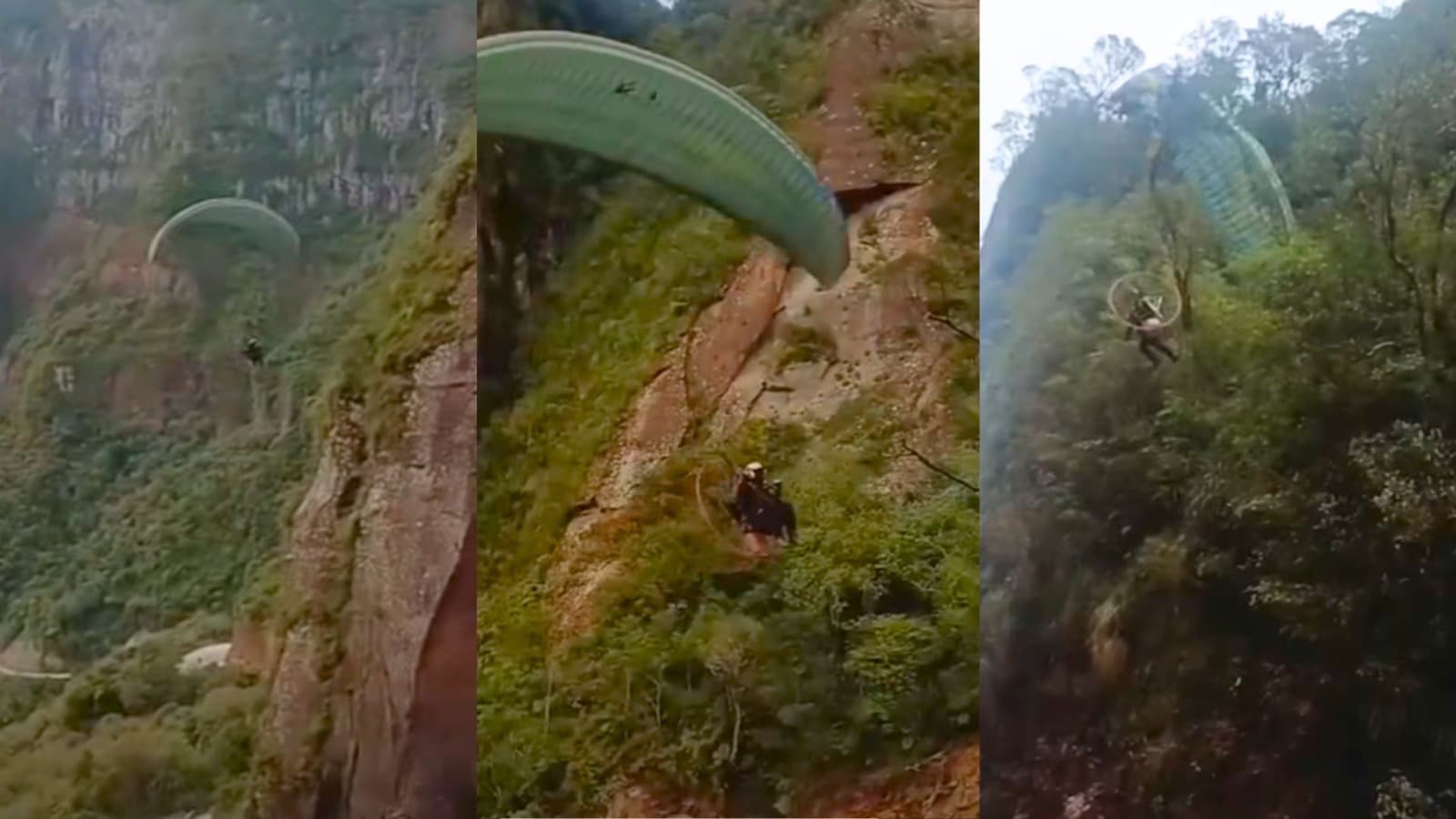 “Milagre na Serra”: piloto de paramotor filma voo em SC e sobrevive a queda após ficar pendurado em árvore