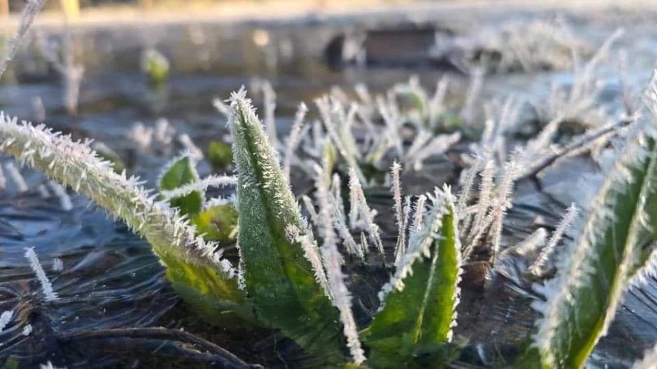 Primavera começa com temperatura negativa em Santa Catarina