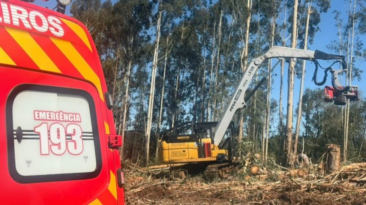Trabalhador de 23 anos morre atingido por tronco durante corte de árvores em SC