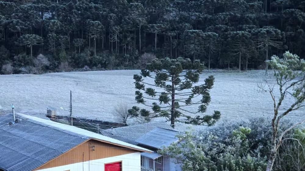 De trincar os grãos: SC marca -9,1ºC e banho vira opcional em todo o estado