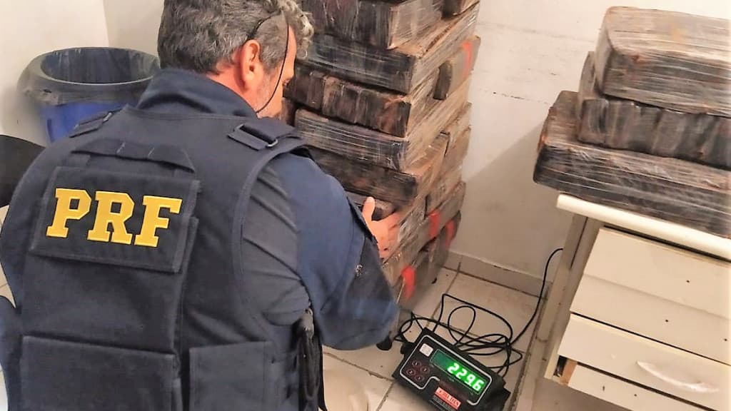 Pai e filho são presos com quase meia tonelada de maconha em Joinville