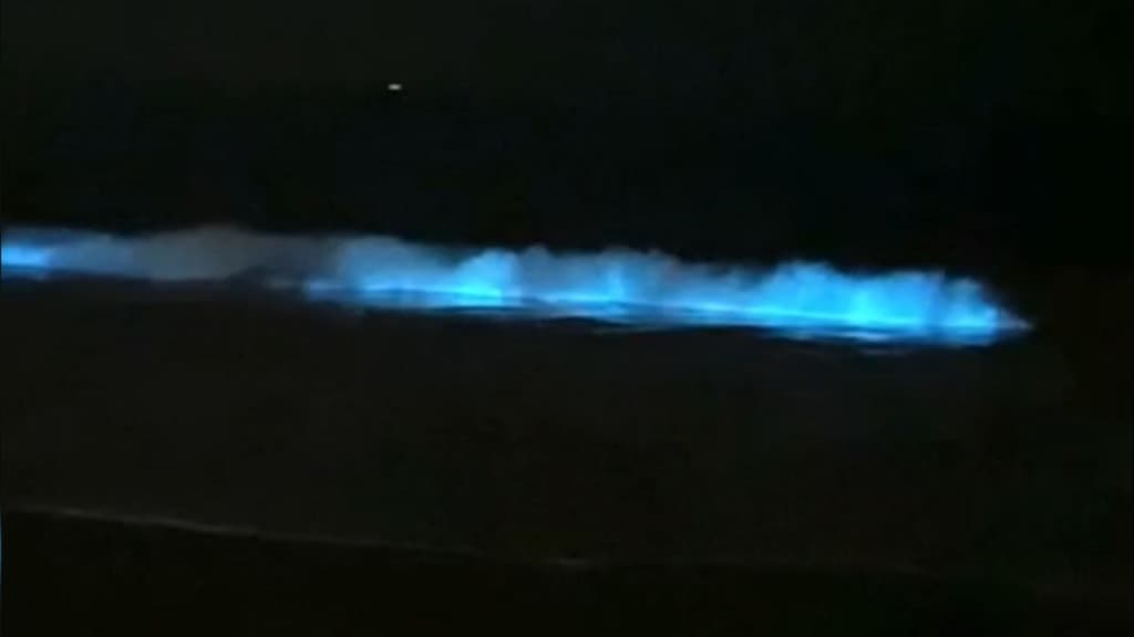 Vídeo: Brilho azul no mar chama atenção em Bombinhas