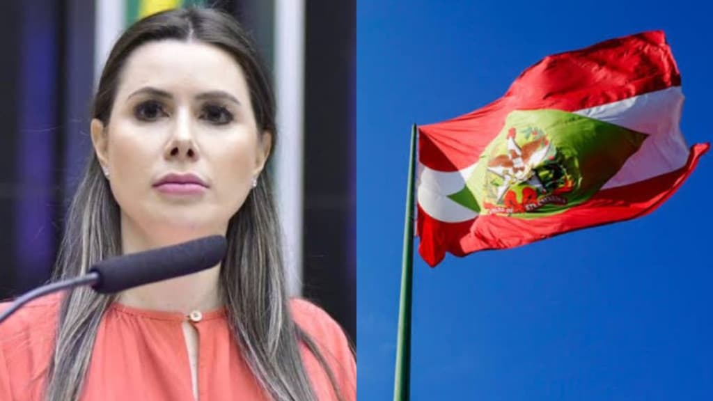 Catarinense vai comandar a mais importante comissão da Câmara Federal