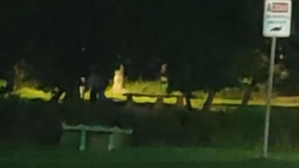 Casal é flagrado transando ao ar livre na lagoa do Bosque da Mata, em Tijucas