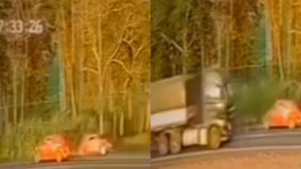 Irmãos gêmeos? Fuscas laranjas surpreendem em rodovia de SC