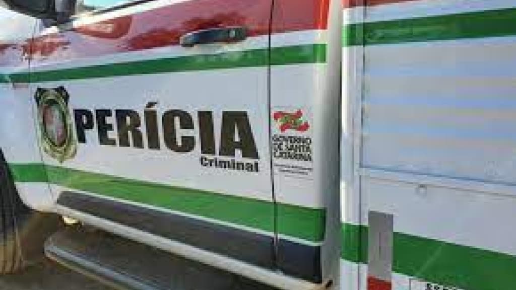 Mulher é encontrada esquartejada em área de mata em SC