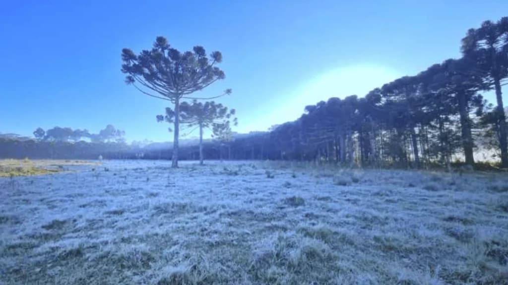 Santa Catarina pode ter mínima de 0°C nesta quarta-feira