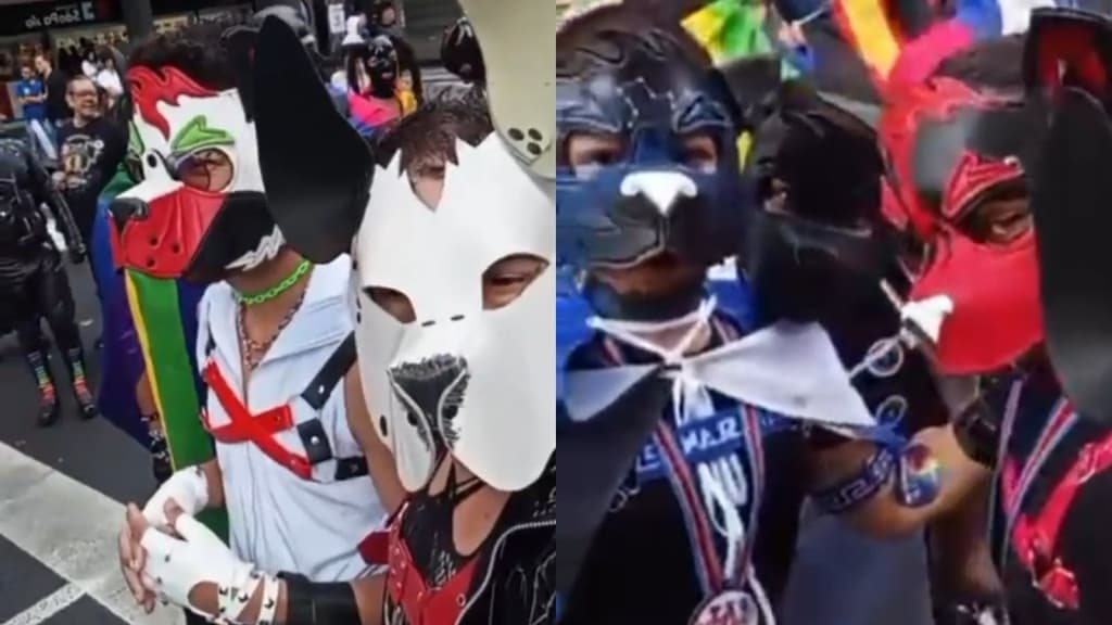 “Pulguentxs”: homens que andam “de 4” e tem fetiche de ser cachorro
