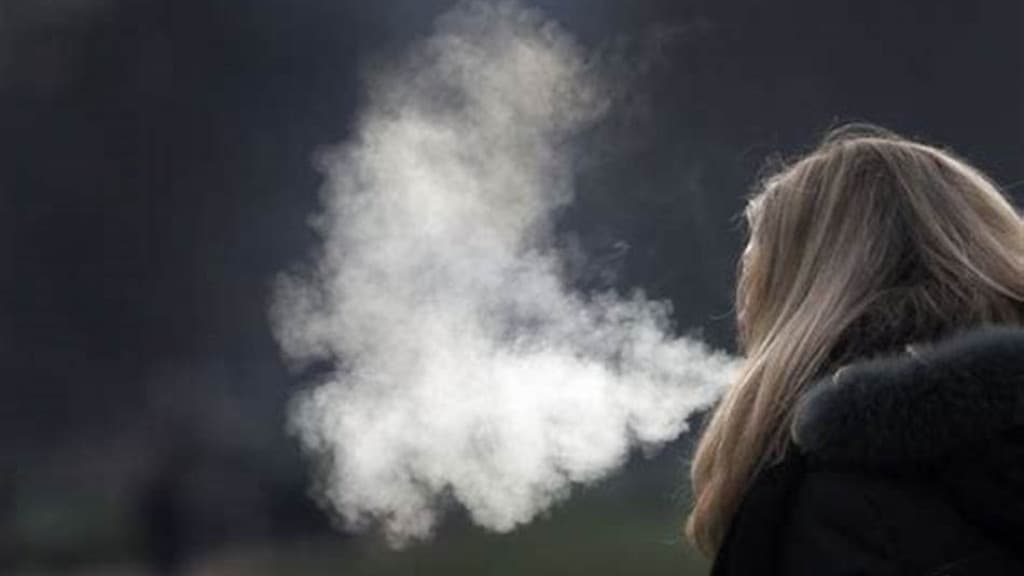 Santa Catarina se prepara para onda de frio intenso com temperaturas abaixo de zero