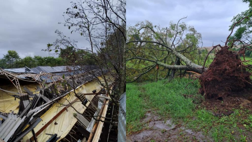 Tempestade assustadora deixa rastro de destruição no Oeste de Santa Catarina