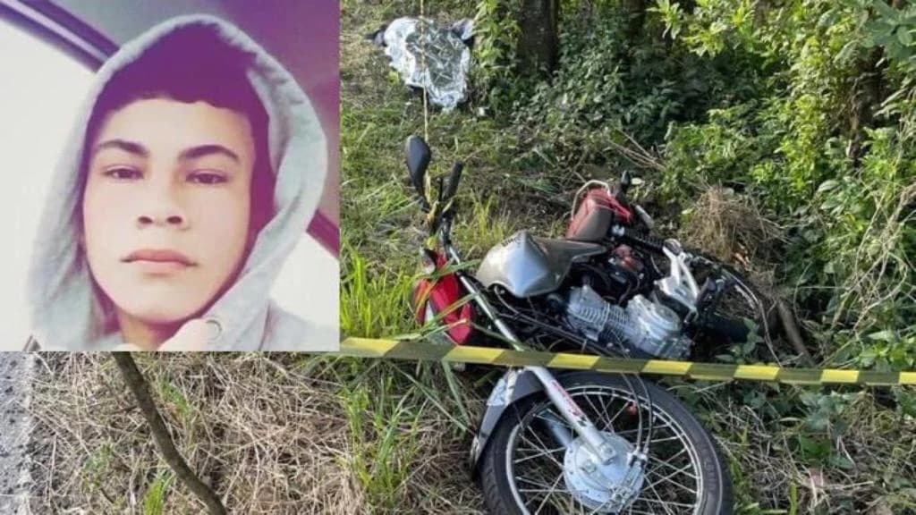 Motociclista que morreu após bater em árvore é identificado