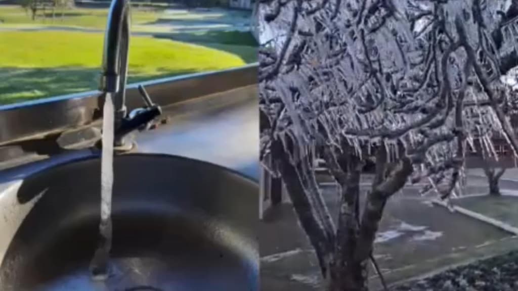 Frio extremo: previsão indica -10°C após SC registrar as menores temperaturas do ano