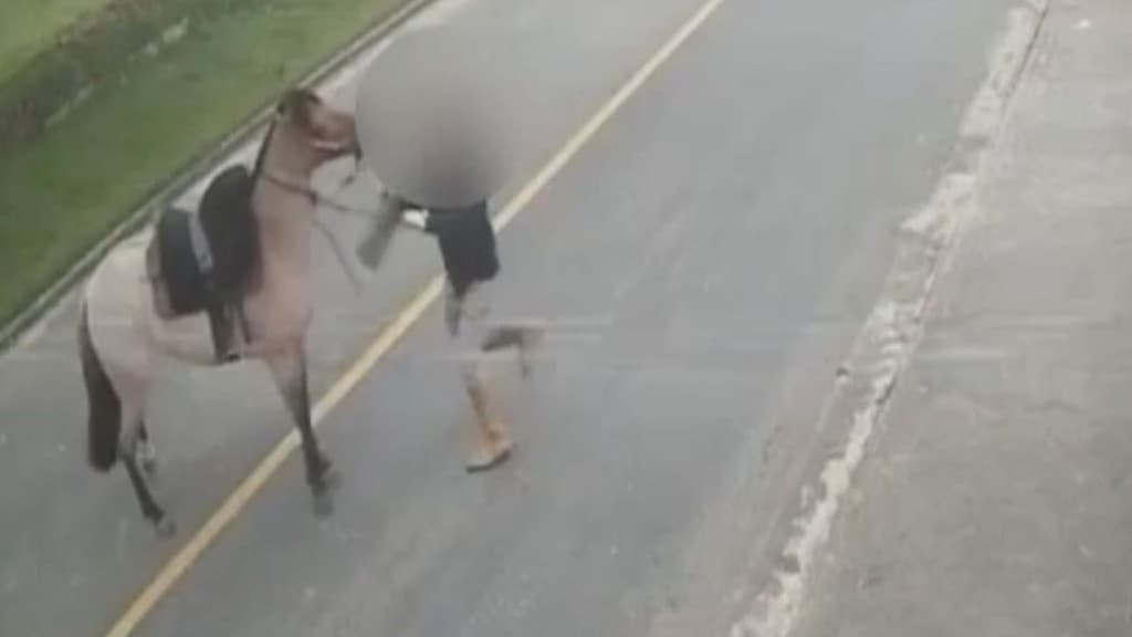 VÍDEO – Jovem se revolta por não conseguir controlar égua e agride o animal
