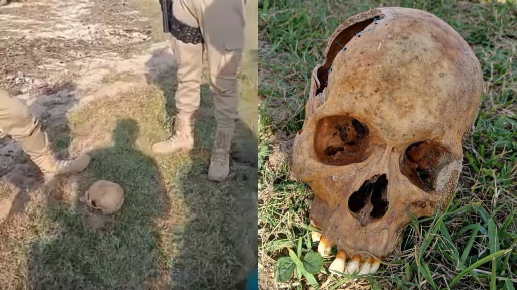 Crânio amarrado com “cordinhas” é encontrado por pescador em Tijucas