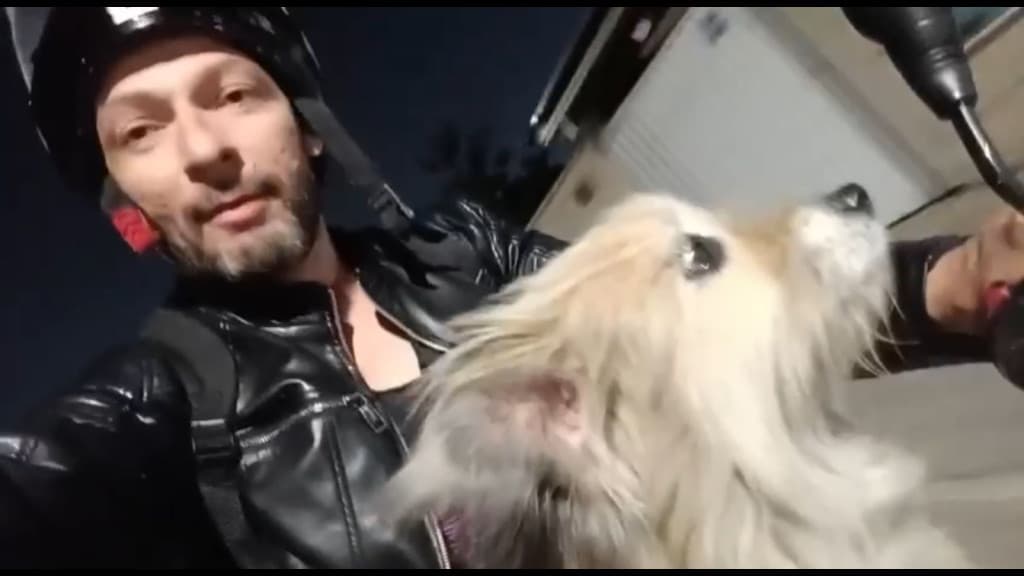Cachorro de criança autista desaparece e é encontrado passeando de moto