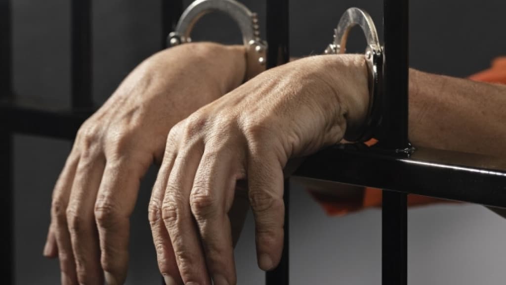 Homem é preso após maltratar e abusar sexualmente de cadela em SC