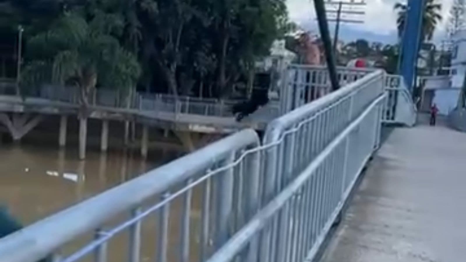 Homem é flagrado jogando cachorro de ponte dentro de rio em Santa Catarina
