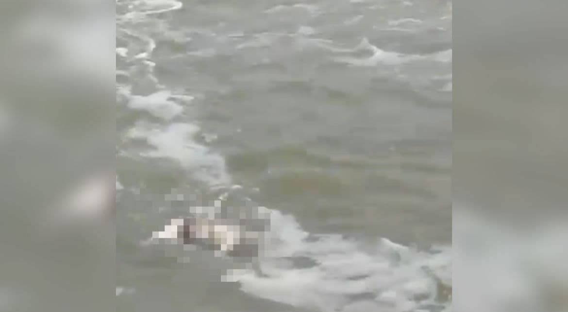 Moradores encontram corpo de homem boiando em praia de Santa Catarina