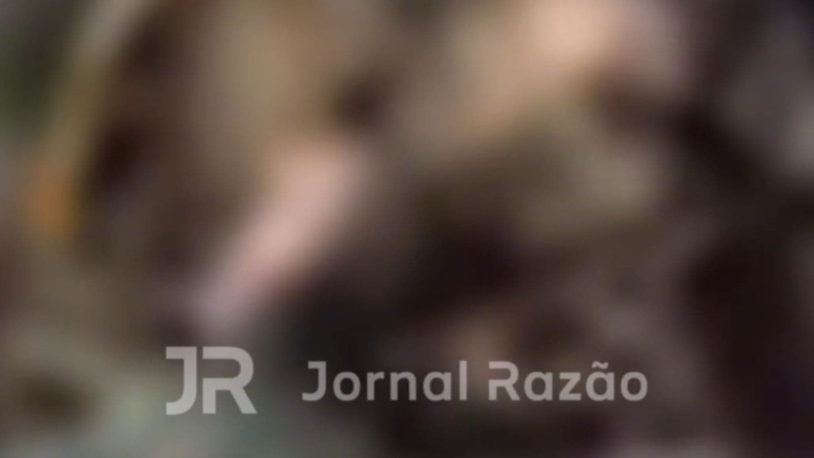 “Operação Recomeço”: Corpo é encontrado em área de mata após denúncia em Itajaí