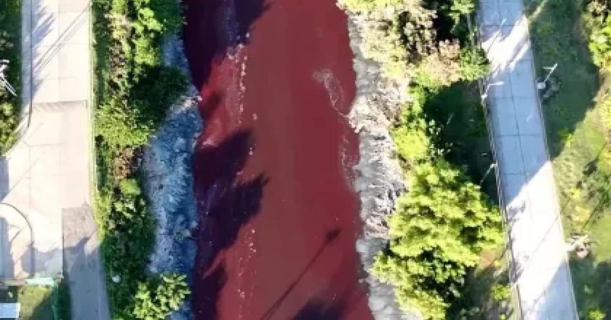 Rio da Argentina fica vermelho “sangue” e assusta moradores