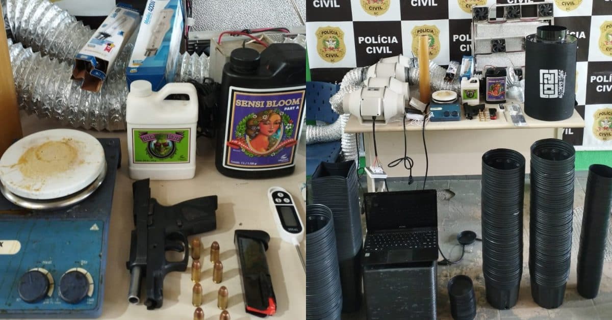 “Laboratório do crime”: Homem é preso com estufa de maconha e arma em BC