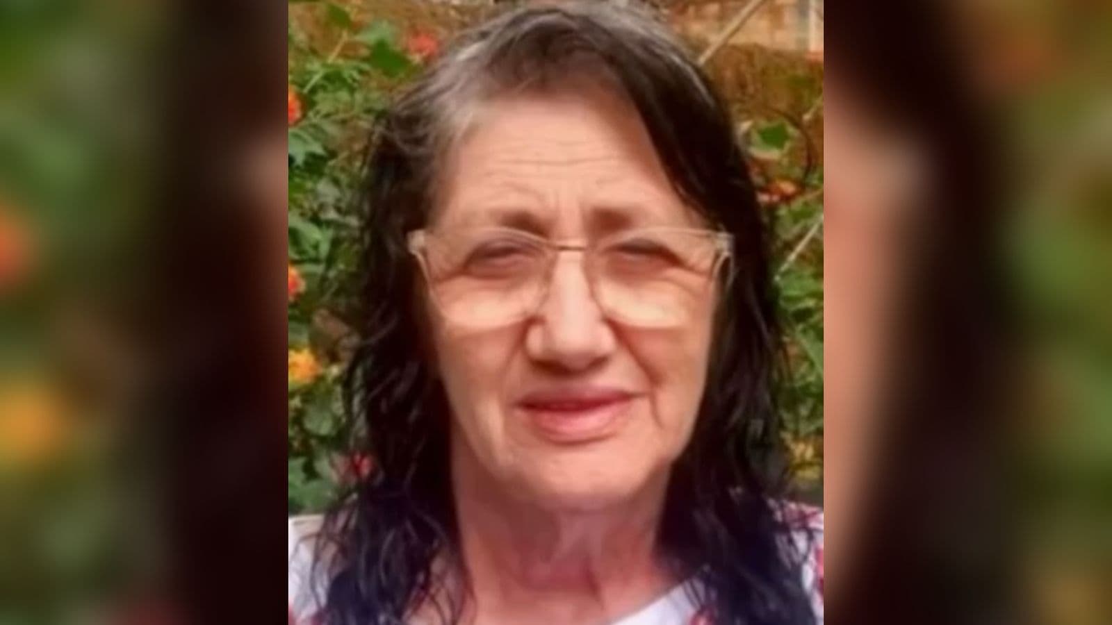 Idosa morre após ser atacada por marimbondos em Santa Catarina
