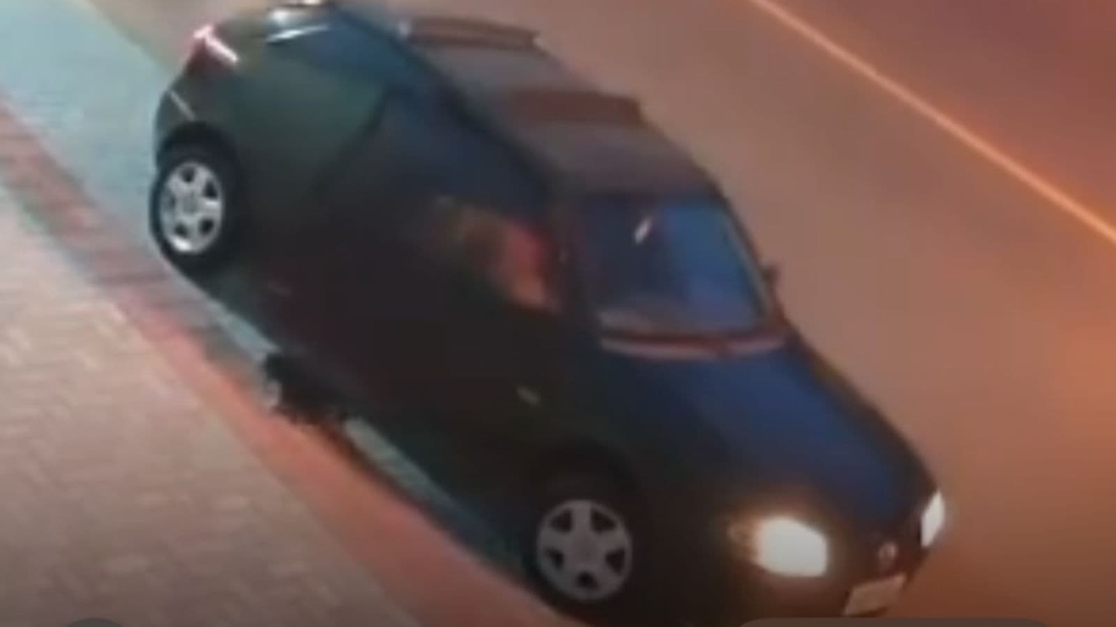 “CRUELDADE”: Motorista abandona cãozinho, atropela e foge sem olhar pra trás em SC