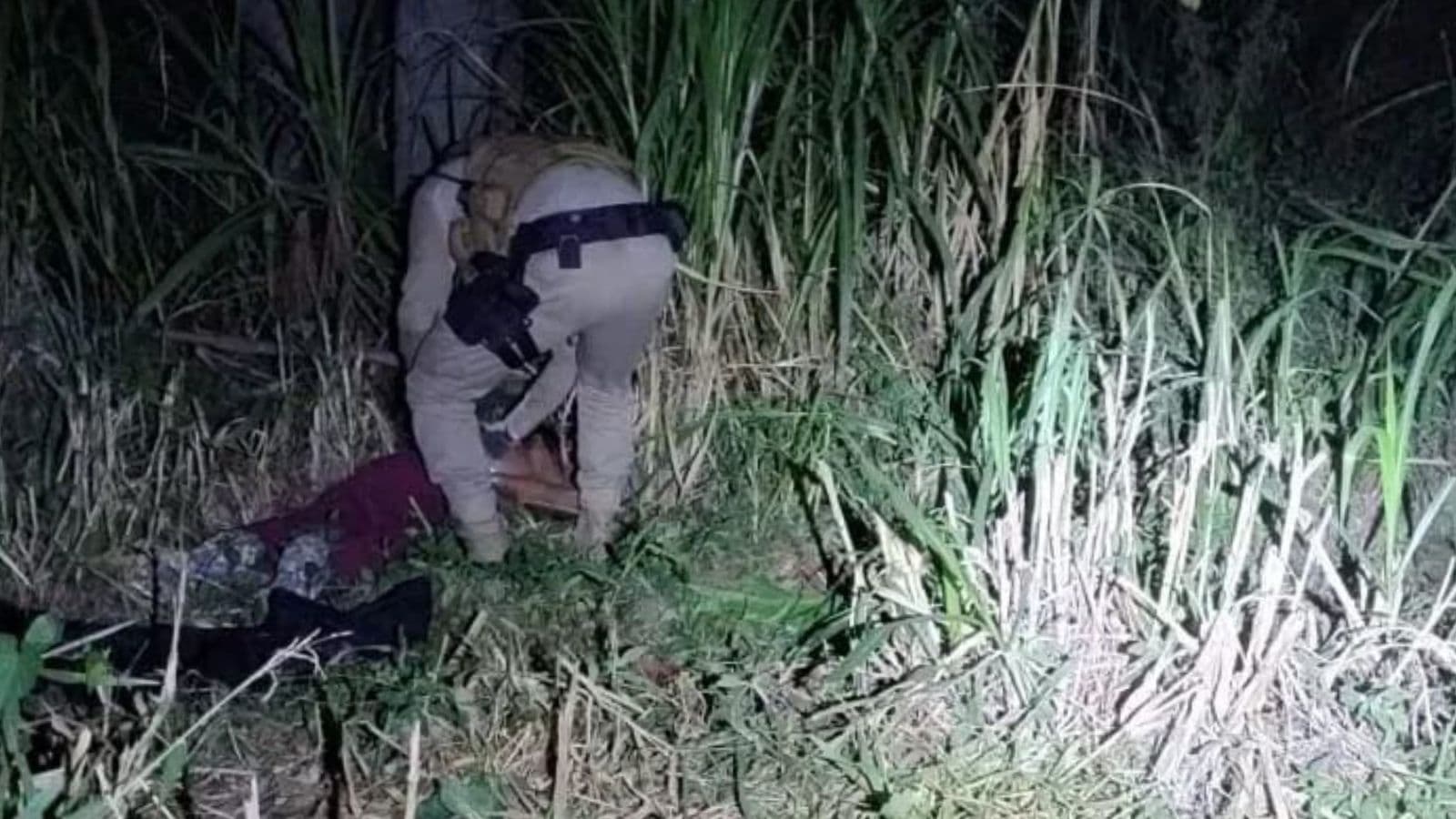 “Iria estuprá-la”: ex arrasta mulher para área de mata e polícia a encontra desacordada